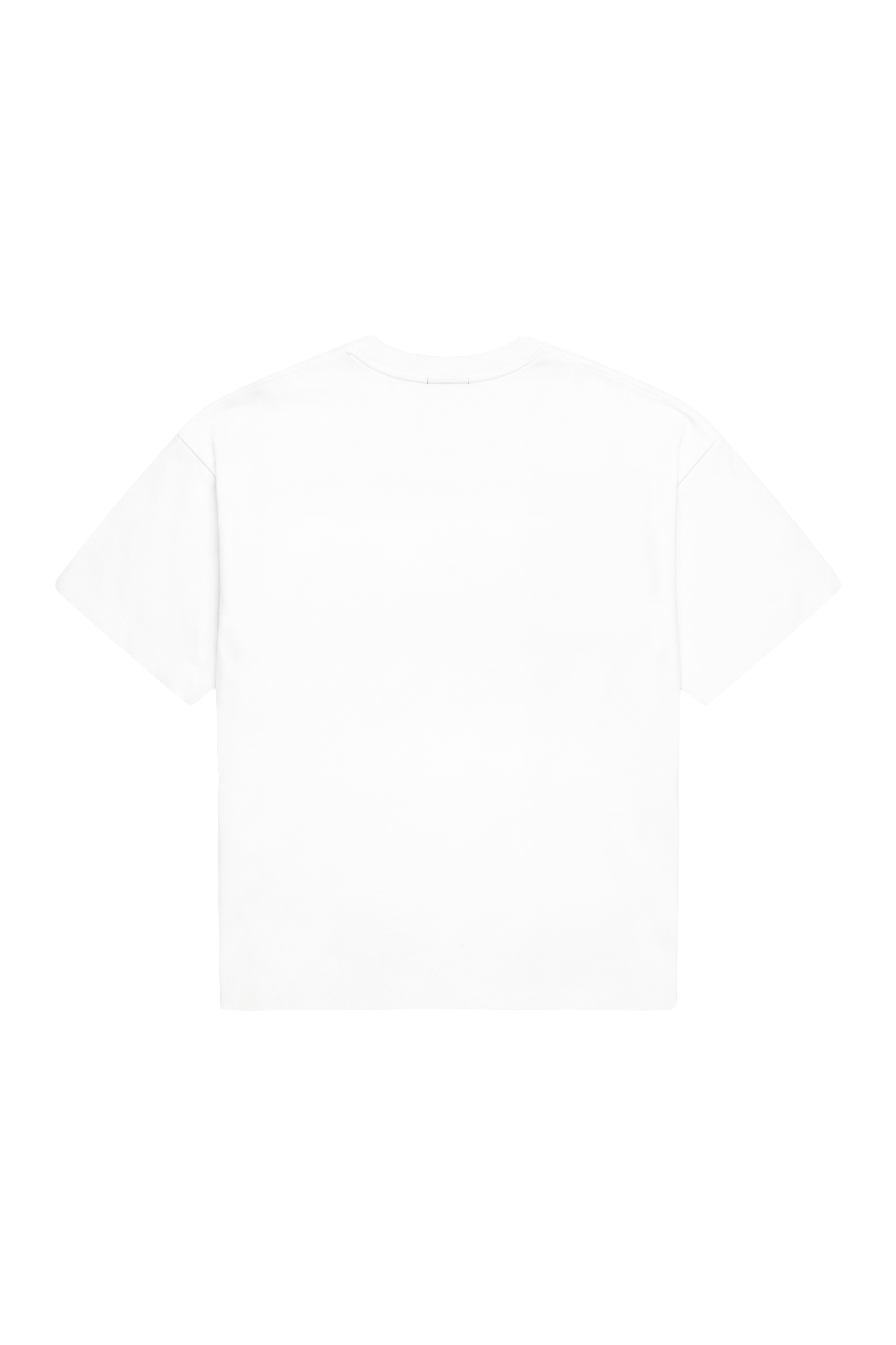 Bitmap Tee — vue 3